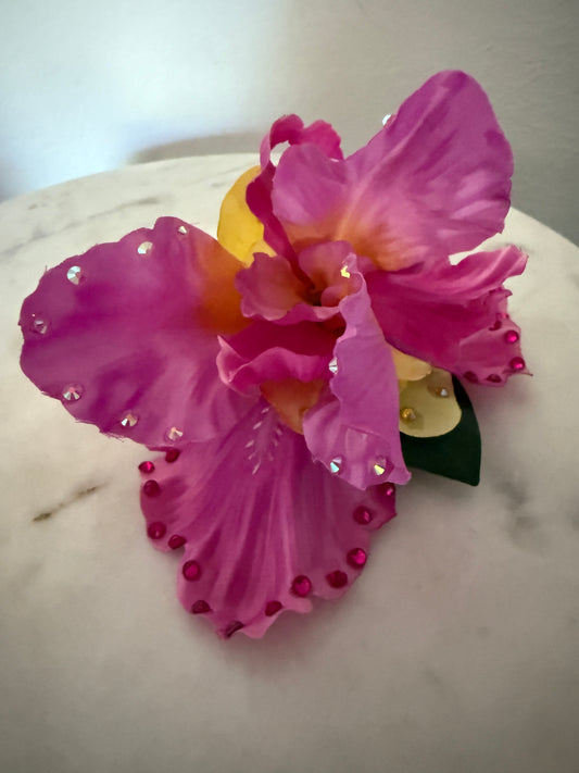 Gem Orchid